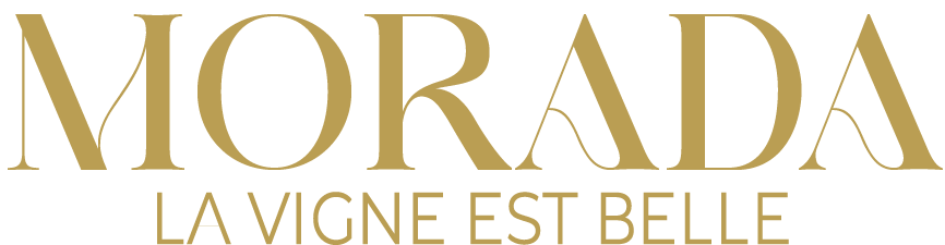 texte du logo Morada